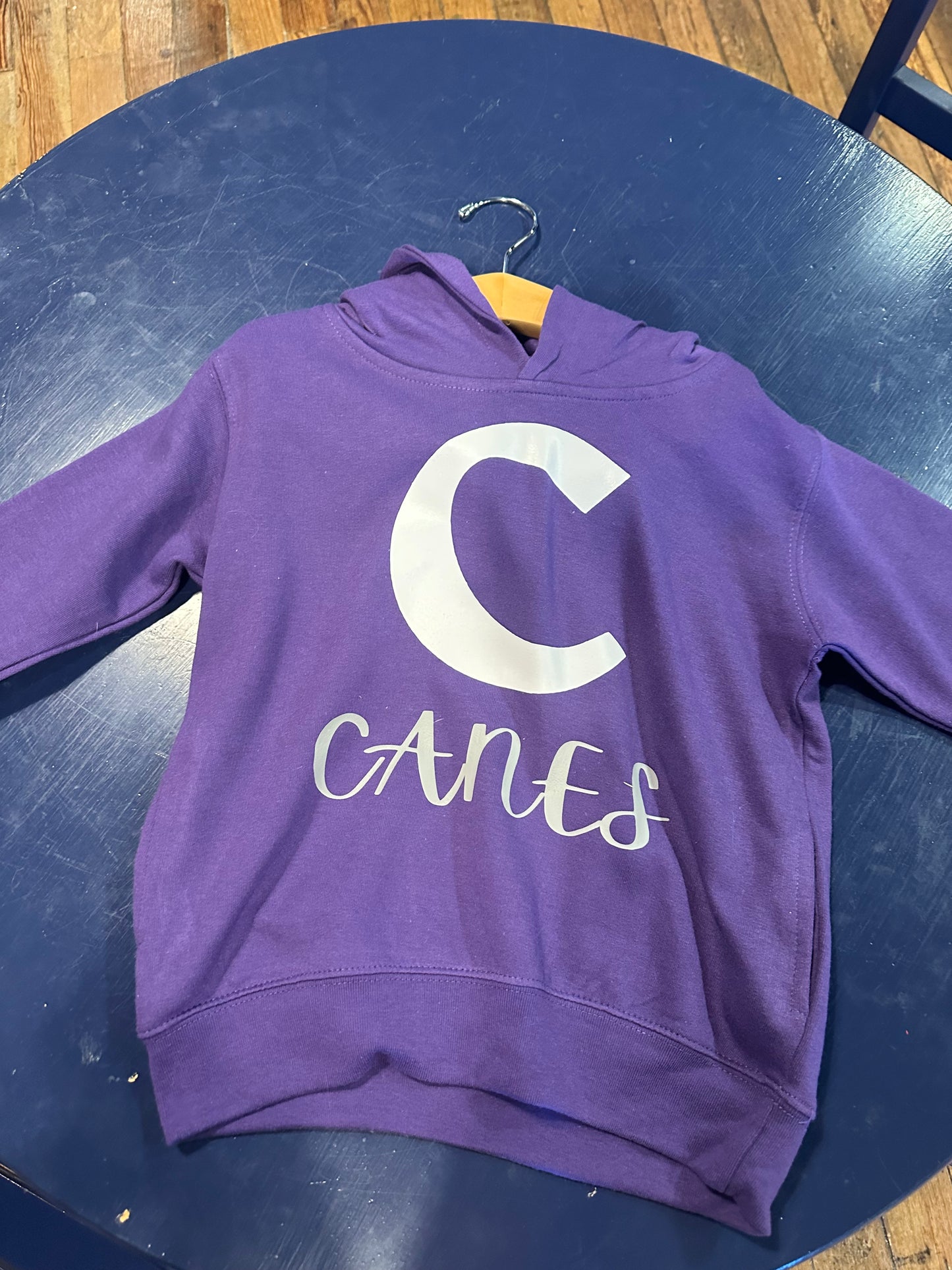 Purple Canes Hoodie